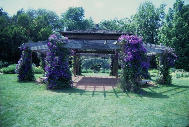 Elizabeth Park Pavilion